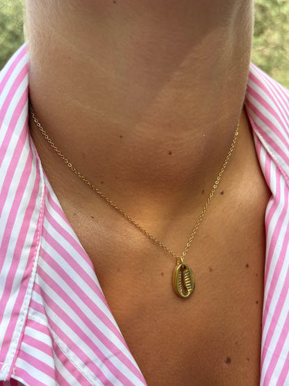 Collier coquillage